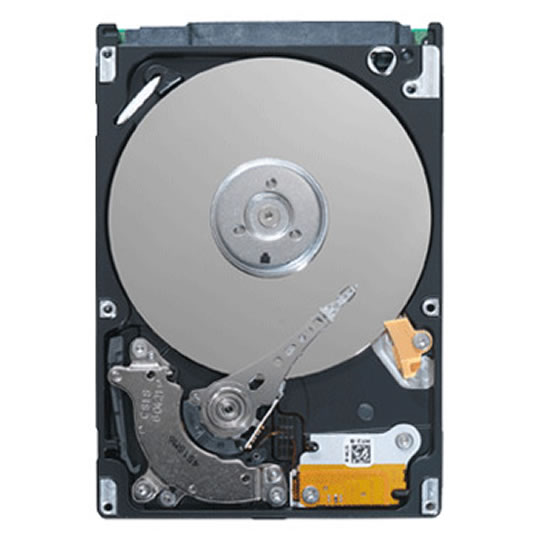 Seagate Momentus 160GB 5400.6 2.5" Notebook Hard Drive : image 1