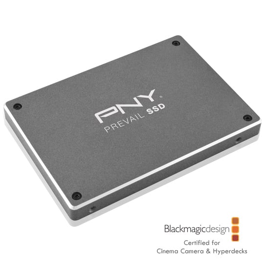 PNY Prevail 240GB Enterprise Class SSD SATA 3 Solid State Drive with 128Bit AES PC/MAC NCQ : image 1