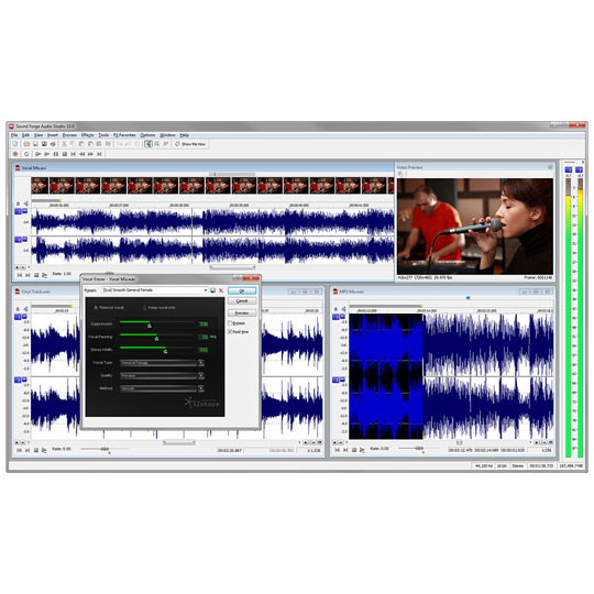 Sony Movie Studio Platinum Suite 12 : image 3