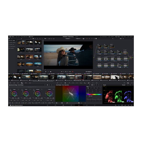 Blackmagic Design DaVinci Resolve Studio Licence 19 - Dongle : image 3