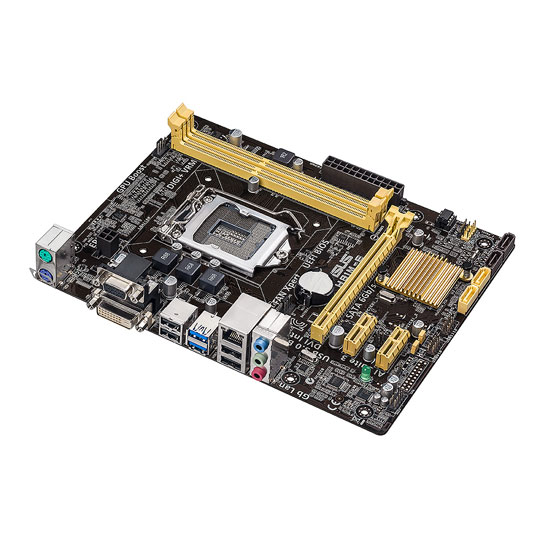 H81M-E Intel S1150 ASUS Micro ATX Motherboard : image 1