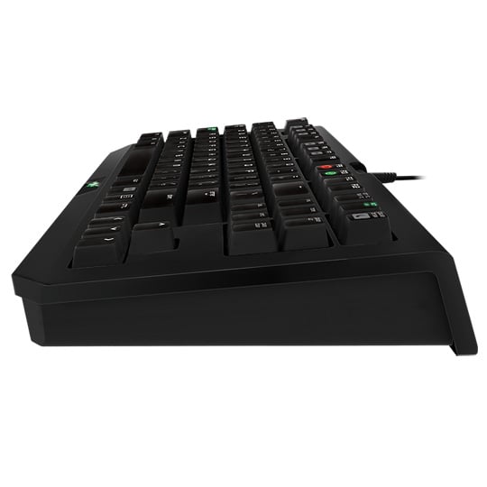 Razer Blackwidow Tournament Edition 2014 Essential Mechanical USB Keyboard : image 4