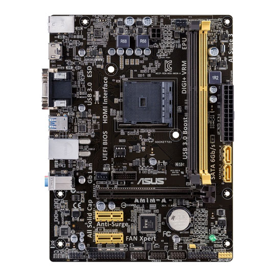 ASUS AM1M-A A Micro-ATX Motherboard with USB 3.0/HDMI : image 2