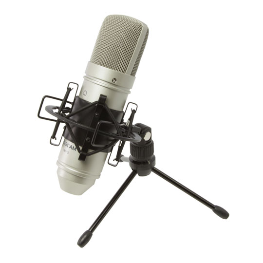 TASCAM TM-80 Condenser Microphone