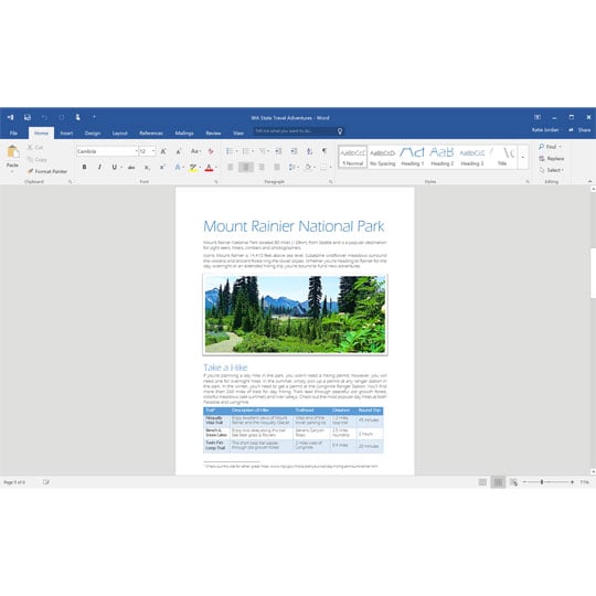 Microsoft Office Home & Student 2016 1 PC Licence Download LN67971