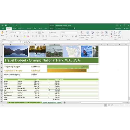 Microsoft Office Home & Student 2016 1 PC Licence Download LN67971