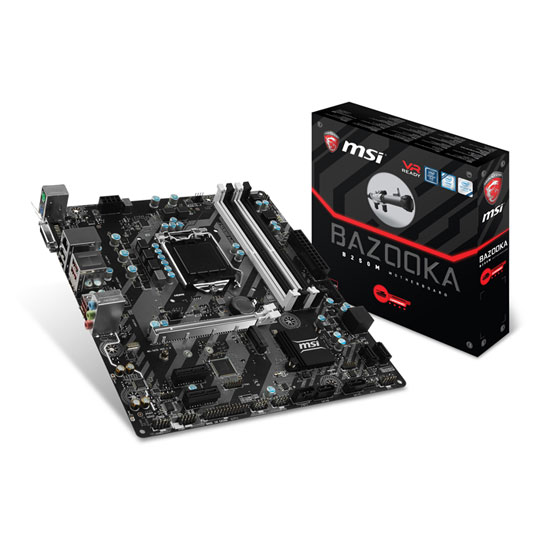 Msi b250m motherboard 2025