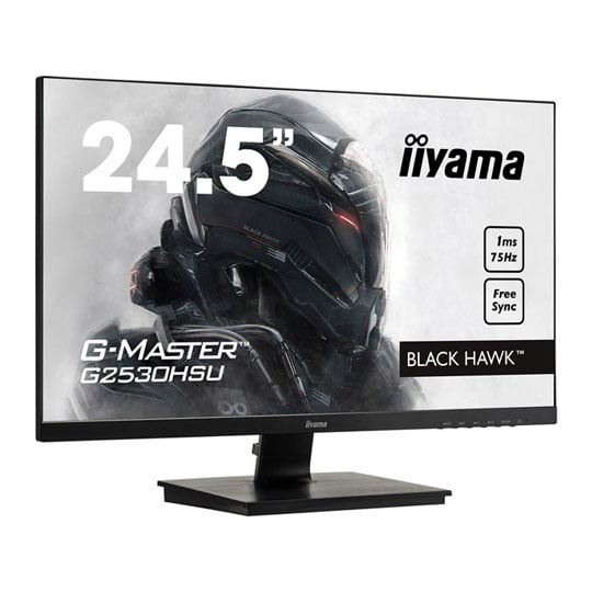 iiyama 25