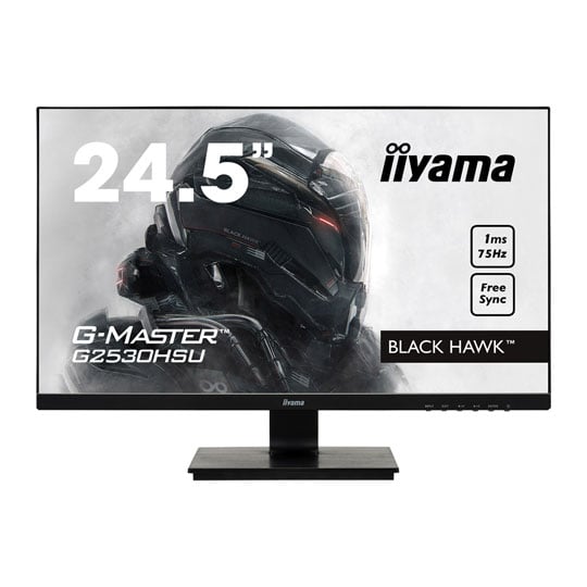 iiyama 25