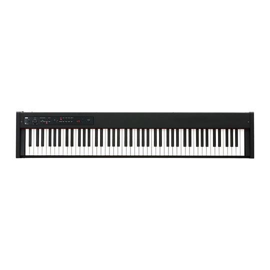 Korg D1 Digital Piano