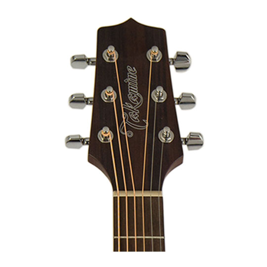 Takamine GD20 Dreadnought Acoustic Guitar