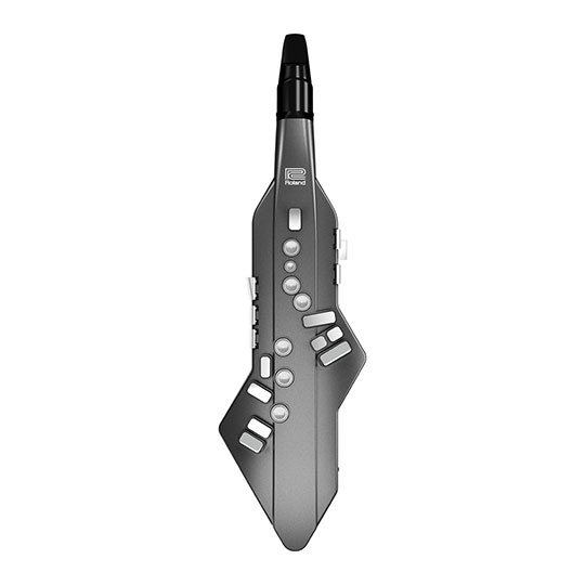 Roland Aerophone GO