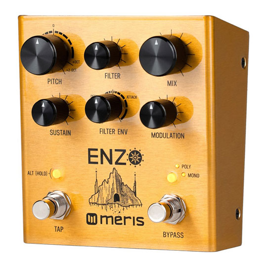 Meris Enzo Multi-Voice Synthesizer Pedal