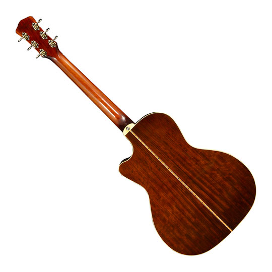 Levinson Sangamon Cutaway LSC-23 MVT