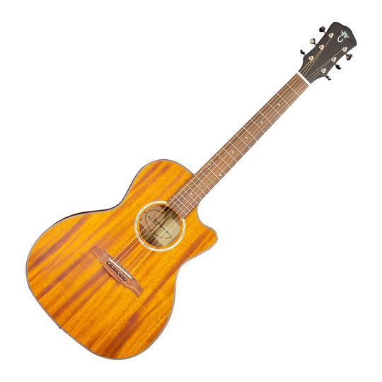 Levinson Greenbriar LGC-22 Guitar (Satin Finish)