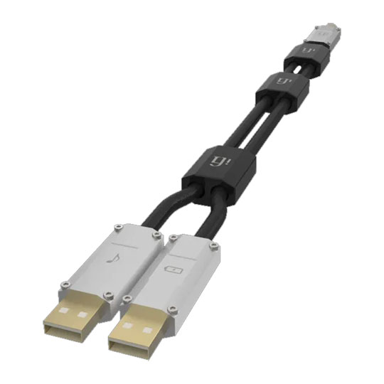 IFI Audio Gemini 0.7m Dual-Headed USB Cable