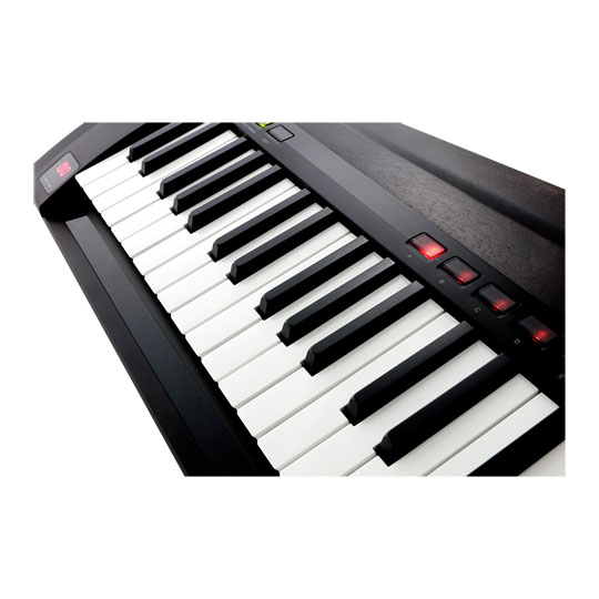 Korg RK-100S Keytar : image 3
