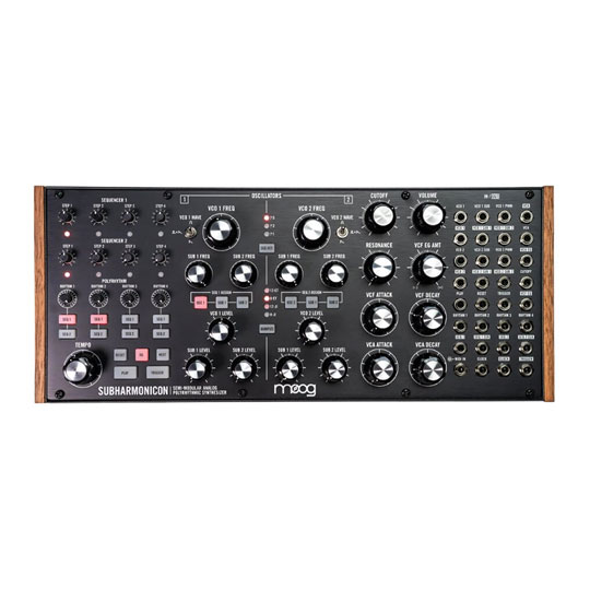 MOOG Subharmonicon : image 4