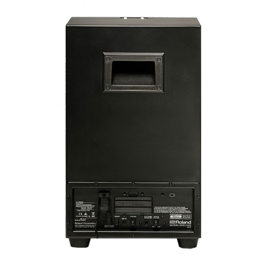 Roland ELCajon EC-10 Electronic Layered Cajon : image 3