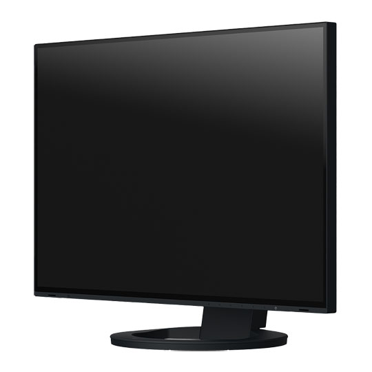 EIZO FlexScan 24" Monitor : image 2