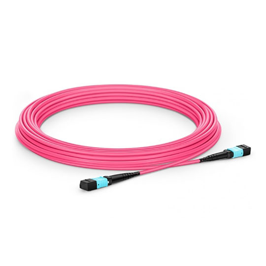FS 33ft MTP-12 to MTP-12 OM4 Multimode Elite Trunk Cable