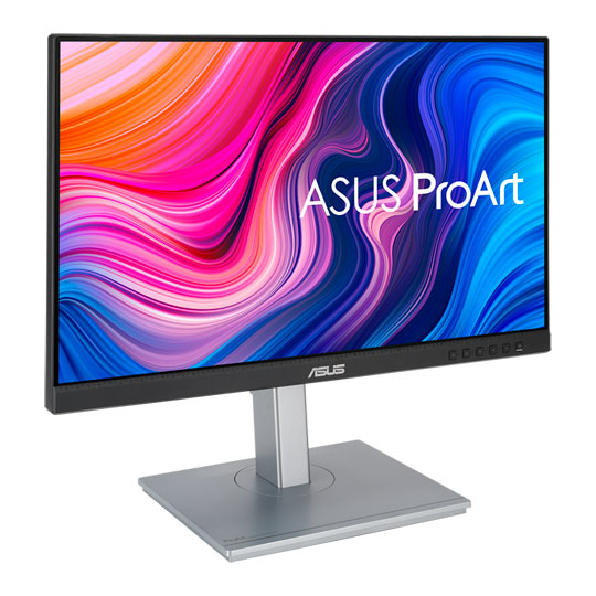 ASUS 24" ProArt PA247CV Professional IPS Monitor