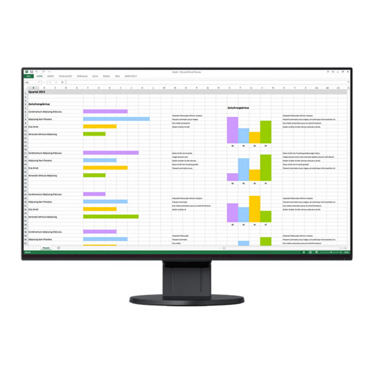 EIZO FlexScan 24" Monitor