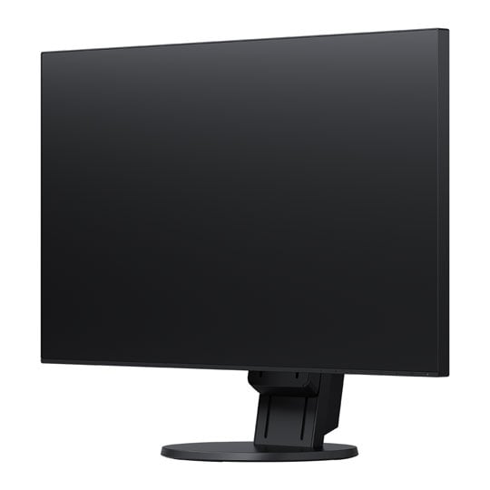 EIZO FlexScan 24" Monitor