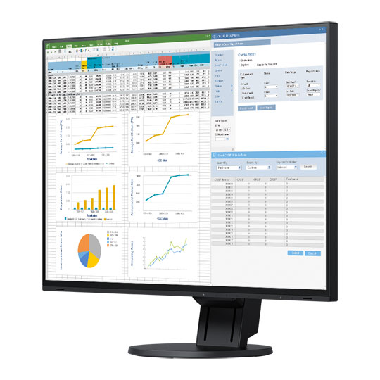 EIZO FlexScan 24" Monitor