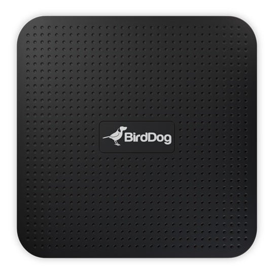 BirdDog Play 4K NDI Player