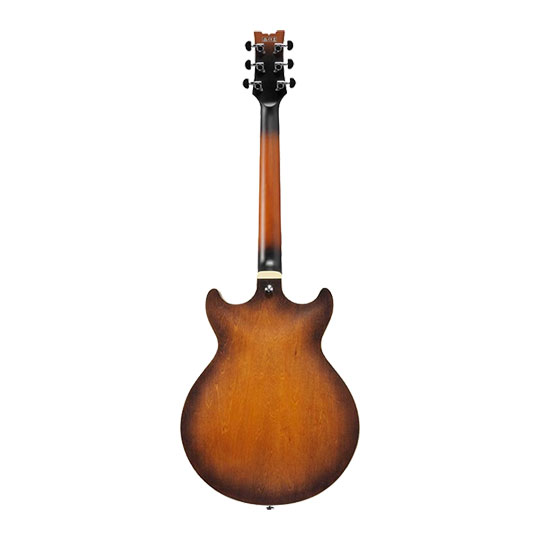 Ibanez - AM53 - Tobacco Flat : image 4