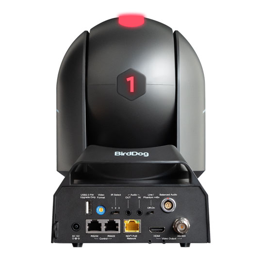 BirdDog P240 NDI PTZ Camera (Black) : image 3