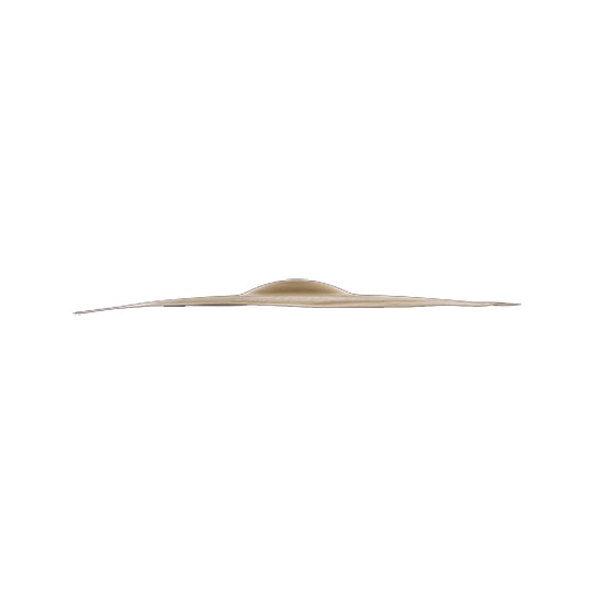 Zildjian 20" Oriental FX Crash of Doom : image 4