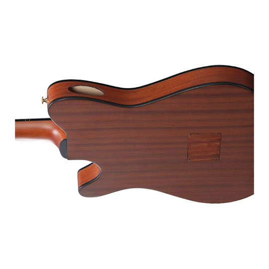 Ibanez FRH10N Electro Acoustic Guitar - Natural Flat