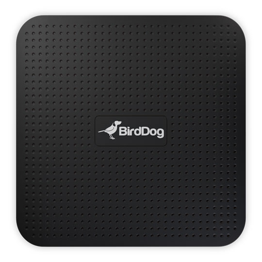 (Open Box) BirdDog Play 4K NDI Player