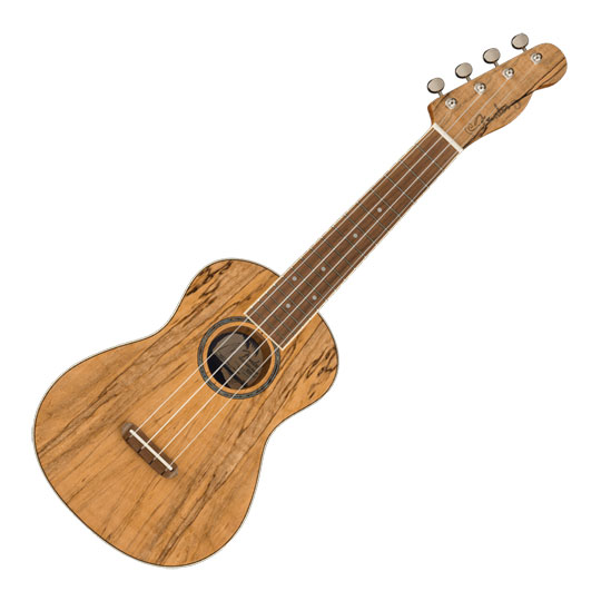 Fender Zuma Exotic Concert Ukulele, Walnut Fingerboard, Spalted Maple