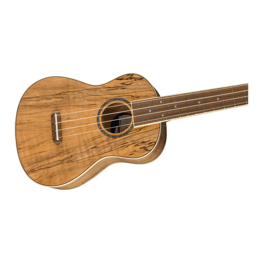 Fender Zuma Exotic Concert Ukulele, Walnut Fingerboard, Spalted Maple