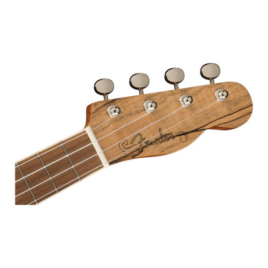Fender Zuma Exotic Concert Ukulele, Walnut Fingerboard, Spalted Maple : image 3