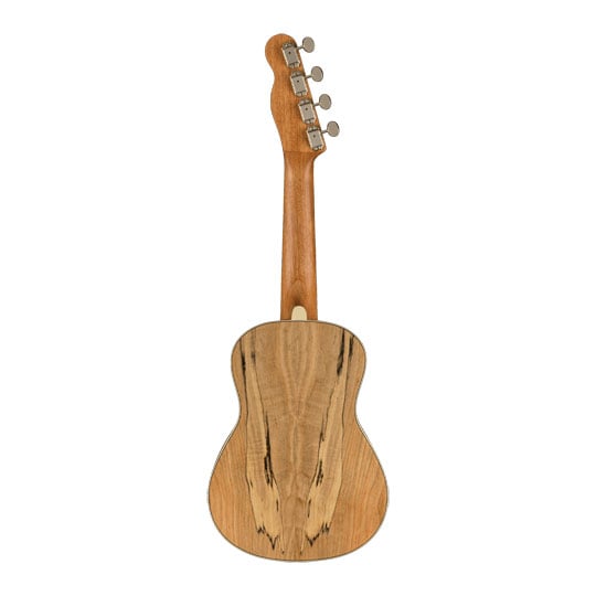 Fender Zuma Exotic Concert Ukulele, Walnut Fingerboard, Spalted Maple : image 4