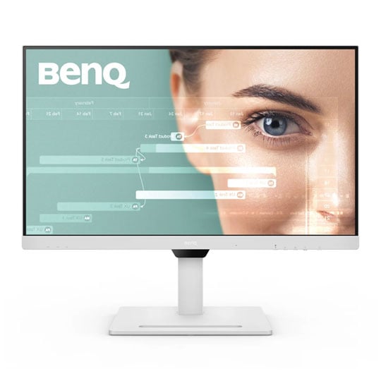 BenQ 31.5" Quad HD IPS Monitor