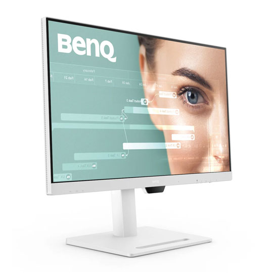 BenQ 31.5" Quad HD IPS Monitor