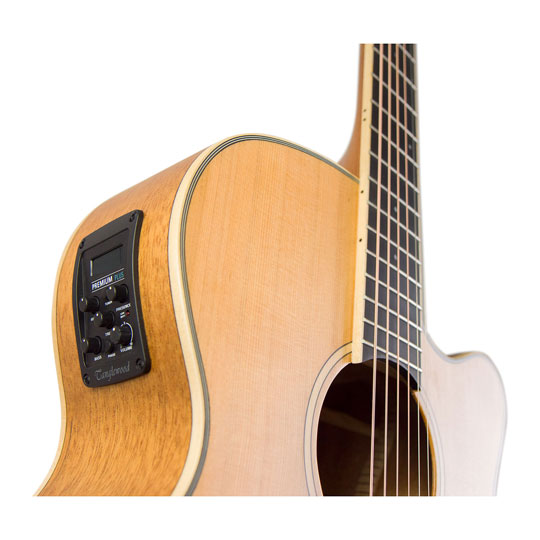 (B-Stock) Tanglewood Winterleaf TW9 : image 4