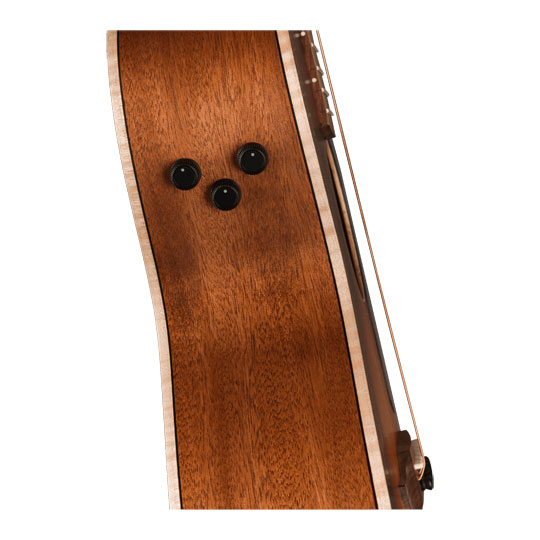 Fender Newporter Special, Honey Burst : image 3