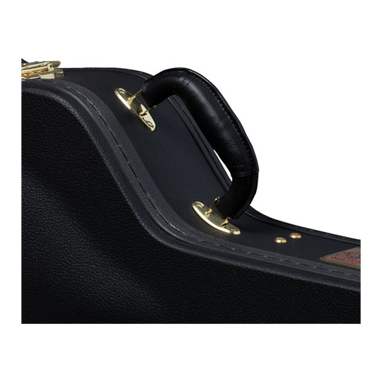 Epiphone 940-EBICS Dobro Case : image 4