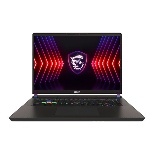 MSI Vector 17 HX A13V 17" 165Hz FHD+ Core i9 RTX 4080 Gaming Laptop : image 1
