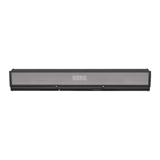 Korg PaAS Mk2 Amplification System : image 2