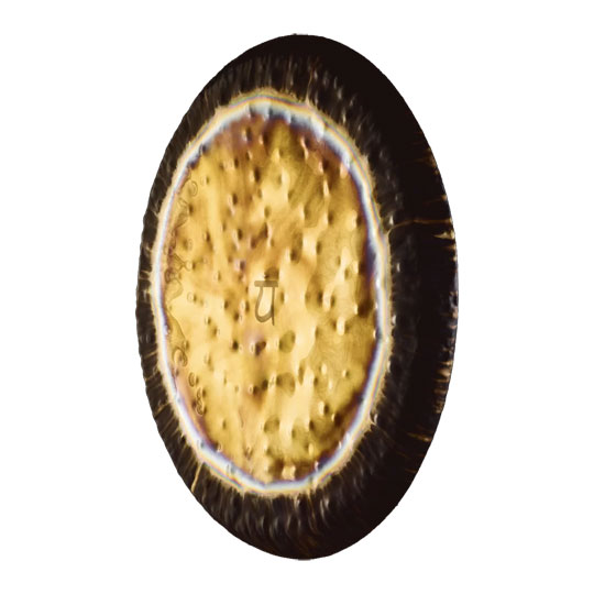 Meinl 36" / 90cm Heart Chakra Gong - G36HC4