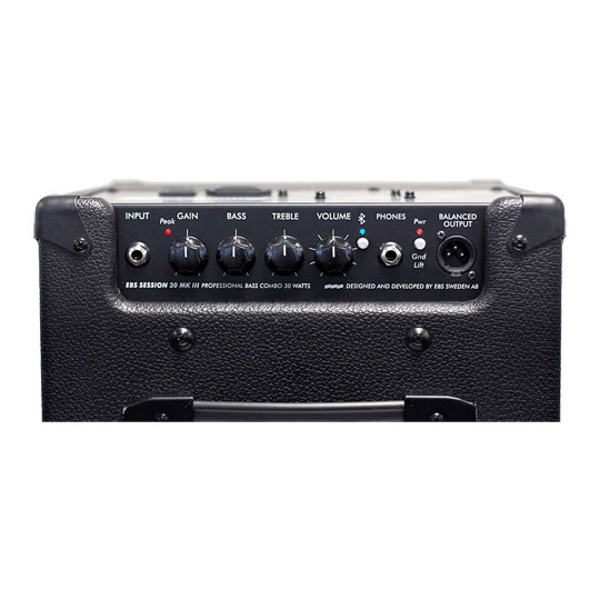 EBS Session 30 MK3 30-Watt Bass Amp Combo