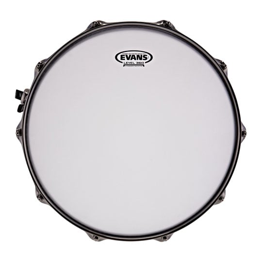 Natal 14" x 8" Double Row Walnut Snare Drum - Cerulean Blue : image 4