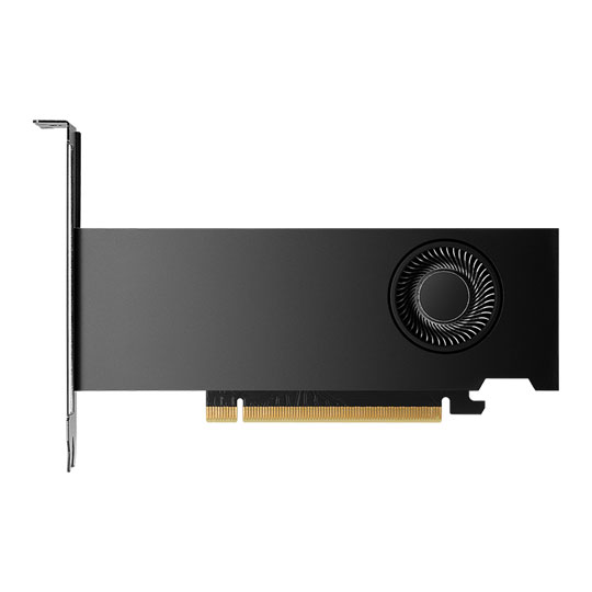 PNY NVIDIA RTX 2000 ADA LP 16GB Ada Lovelace Workstation Graphics Card - OEM